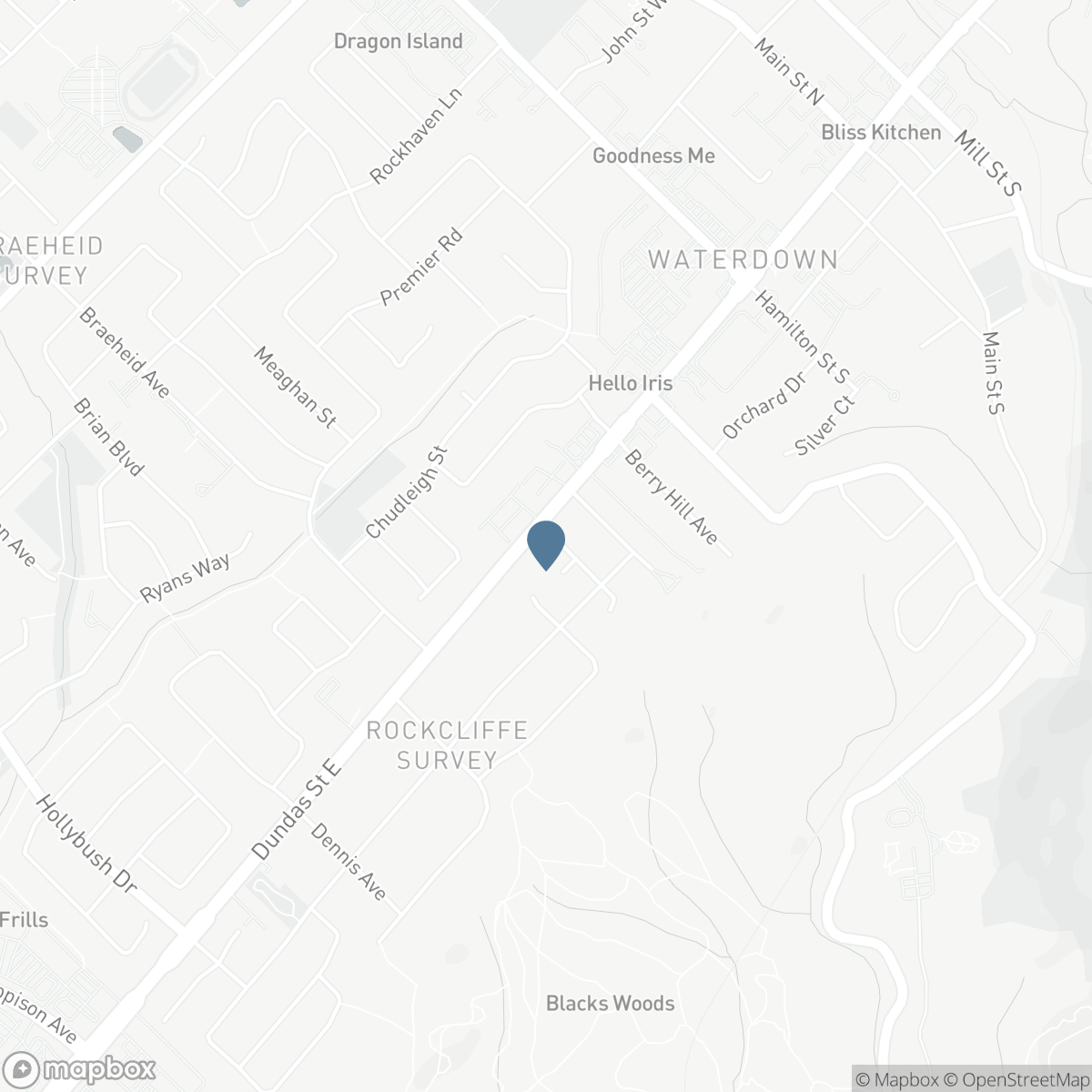 8 GOLDENVIEW Court, Waterdown, Ontario L8B 0L2